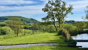 A grassy area with a tree, a fence, and a body of water.