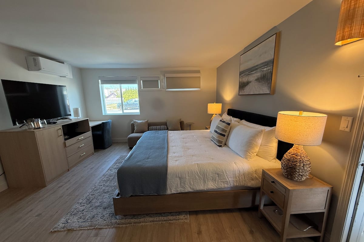 Un dormitorio con cama, mesitas de noche, televisor, escritorio y ventana.