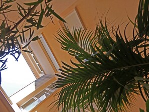 Interior - VILLA MON REPOS WITH POOL AND A/C (Colera (Villa))