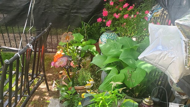Een tuin met verschillende planten in potten, een klein vogelhuisje en een decoratieve omheining.