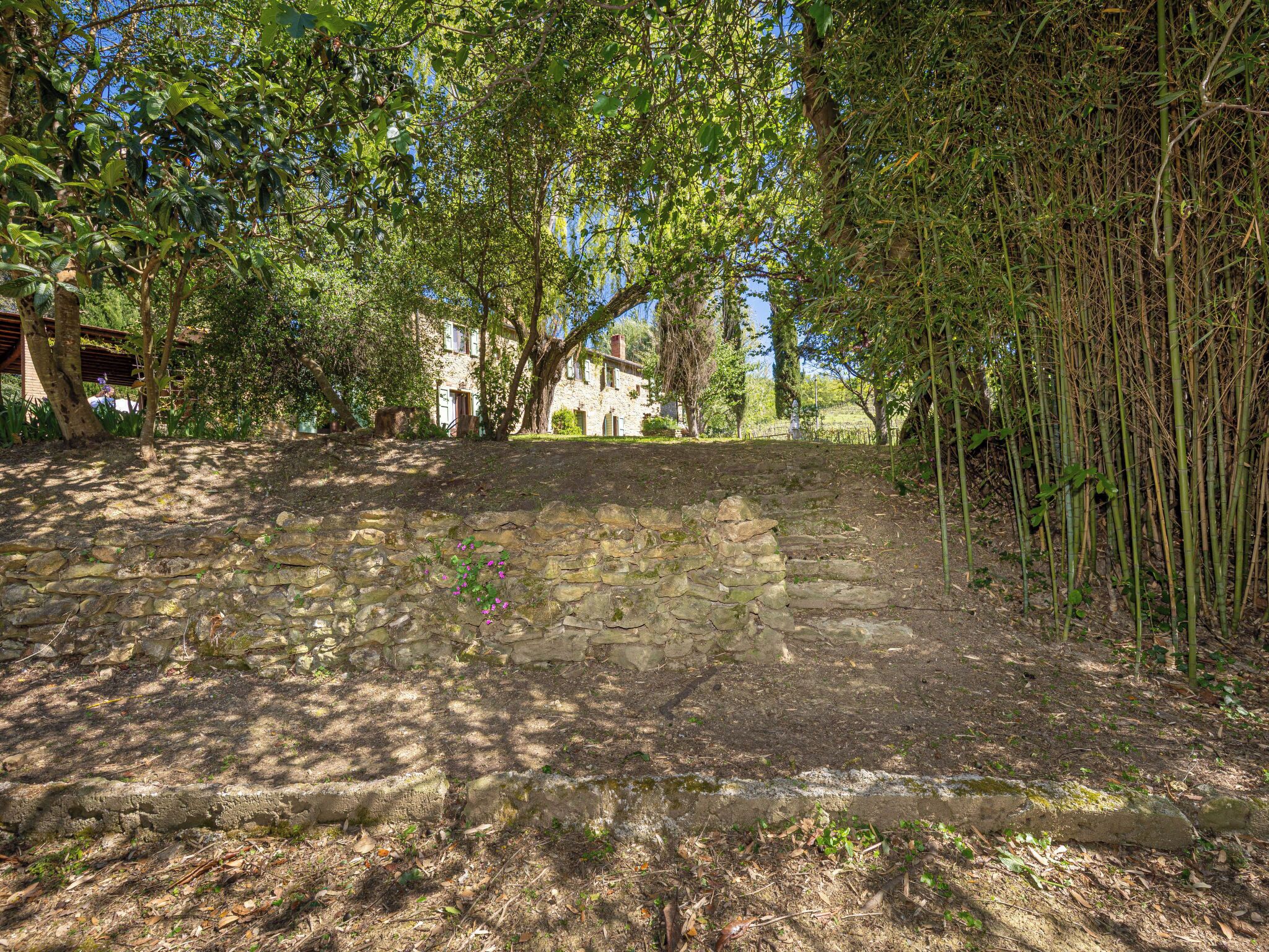 Un sentier de pierres mène à un bâtiment en pierre, entouré d’arbres et de bambous.