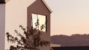 A modern house with a large window, a garage, and a tree in front. - Modern 3-Bedroom Family Home Near Racecourse & Brewtown (Upper Hutt)