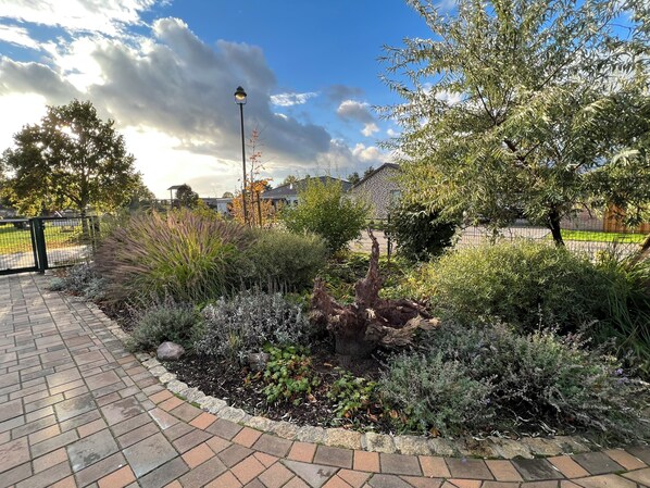 A paved walkway with a garden area featuring various plants and a lamp post.