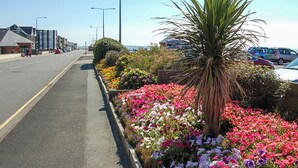 A roadside flower bed with a palm tree, a road, and parked cars. - 2 bedroom accommodation in Tywyn (Tywyn)