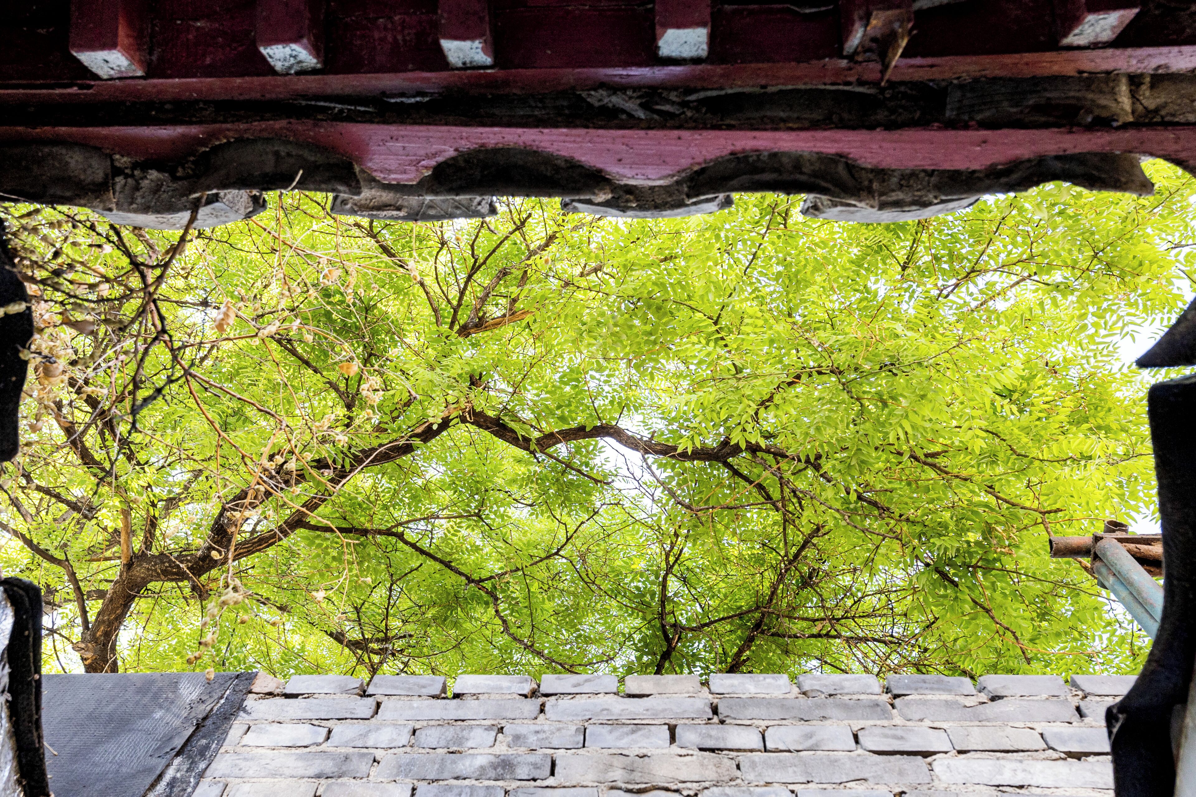 A stone staircase leading up to a traditional roofed structure with a view of green foliage.