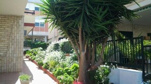 Une cour avec un arbre, des plantes en pot et un bâtiment en arrière-plan.