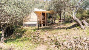 A yurt with a wooden lattice door, surrounded by olive trees and a stone wall. - A yurt among olive trees and the sea (Rapallo)