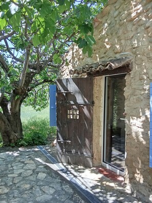 Exterior detail - Gîte in the middle of an olive grove (Lurs)