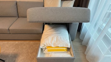 Basic Apartment | Living area