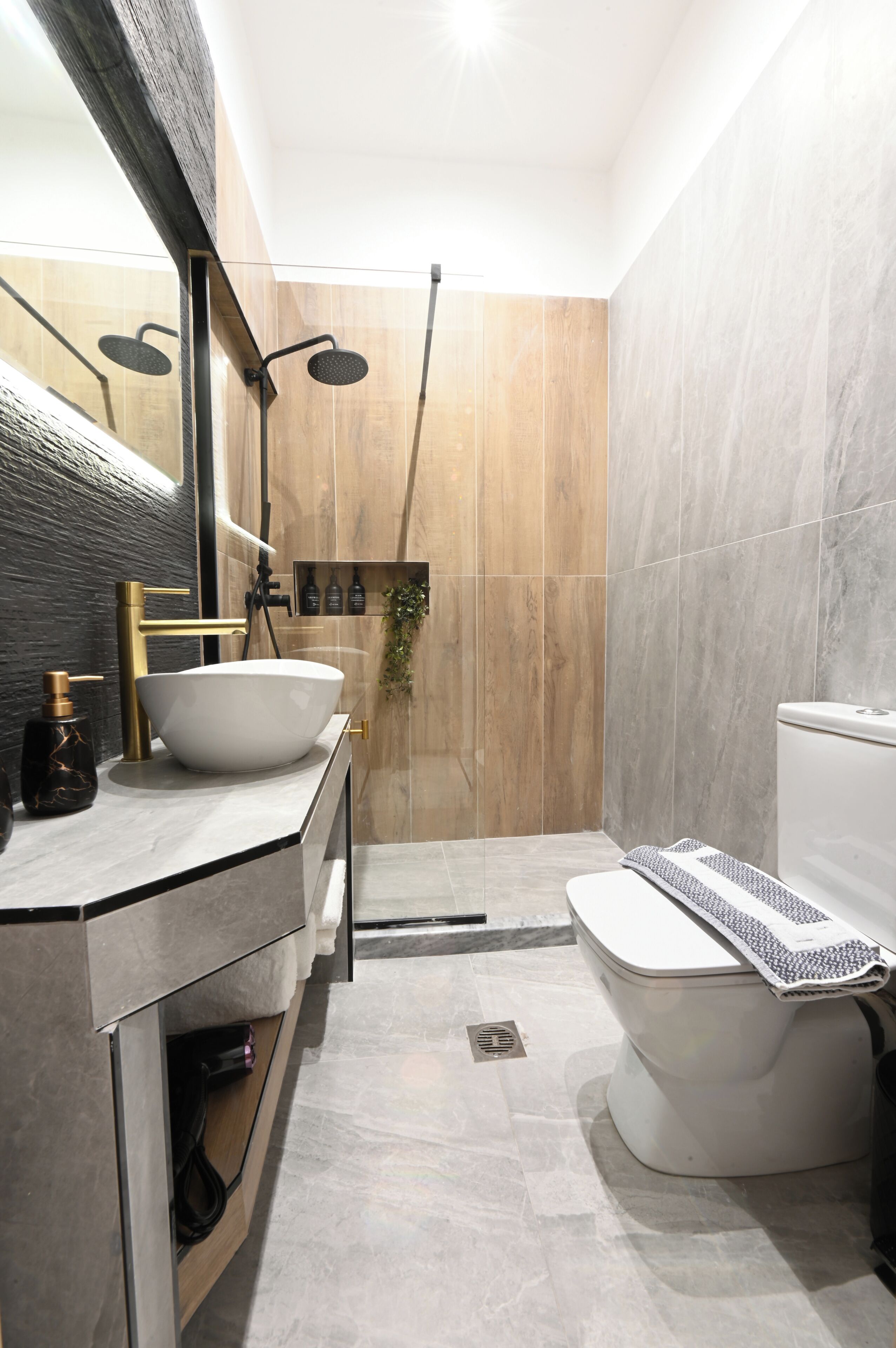 Regadera, secadora de cabello, bidet, toallas 