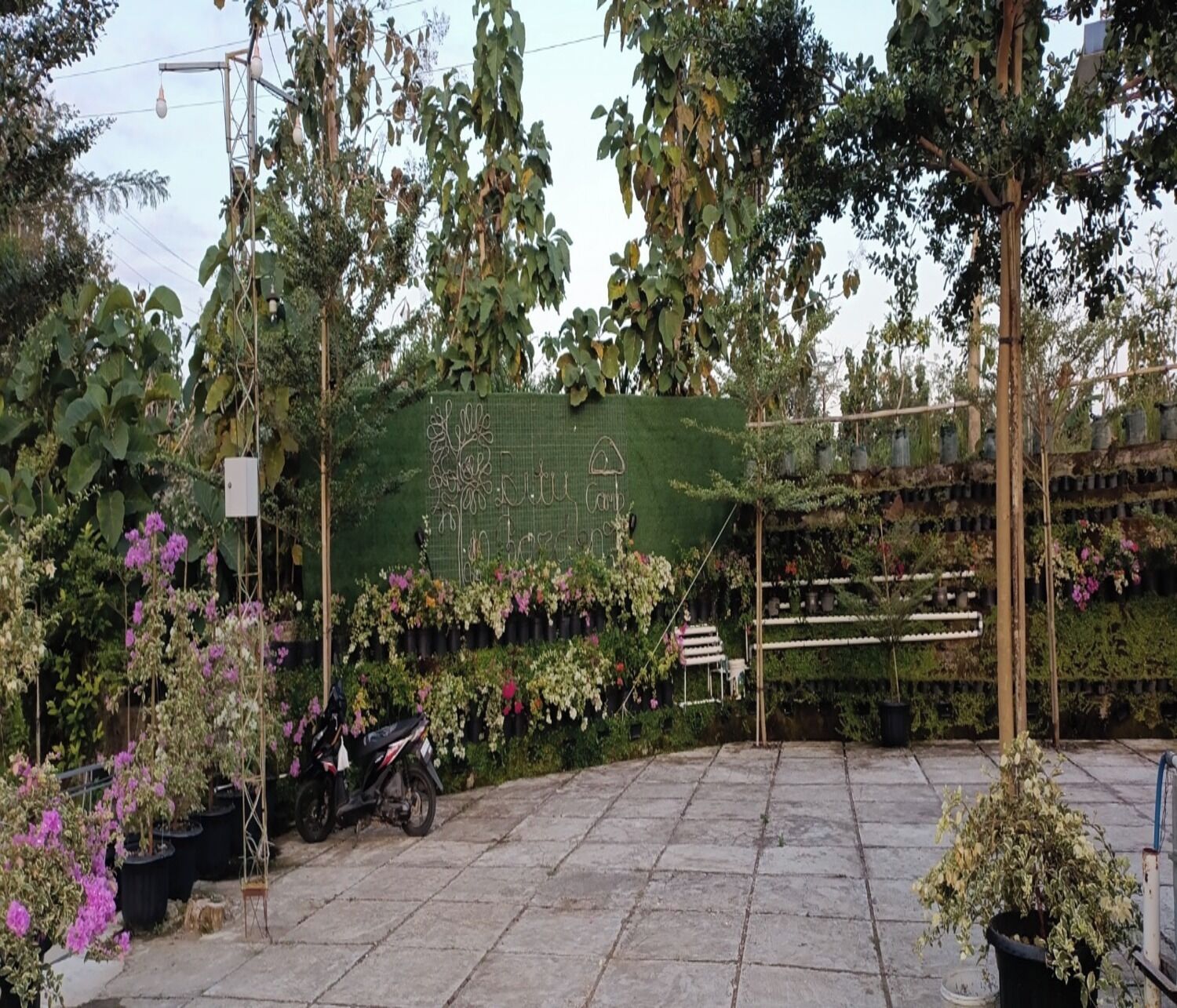 A garden area with a green wall, potted plants, and a motorcycle.