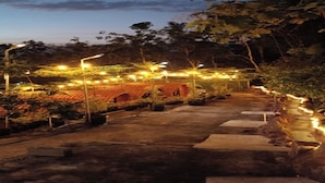 Un sendero serpentea por un jardín con varios arcos y luces colgantes.