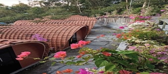 Cozzy Bitu Garden