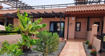 Casa Azul, an oasis of peace and tranquility