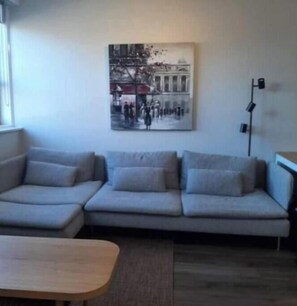 Living area - Charming 1 BR in NMelbourne close to the CBD, Melbourne University & hospitals. (North Melbourne)