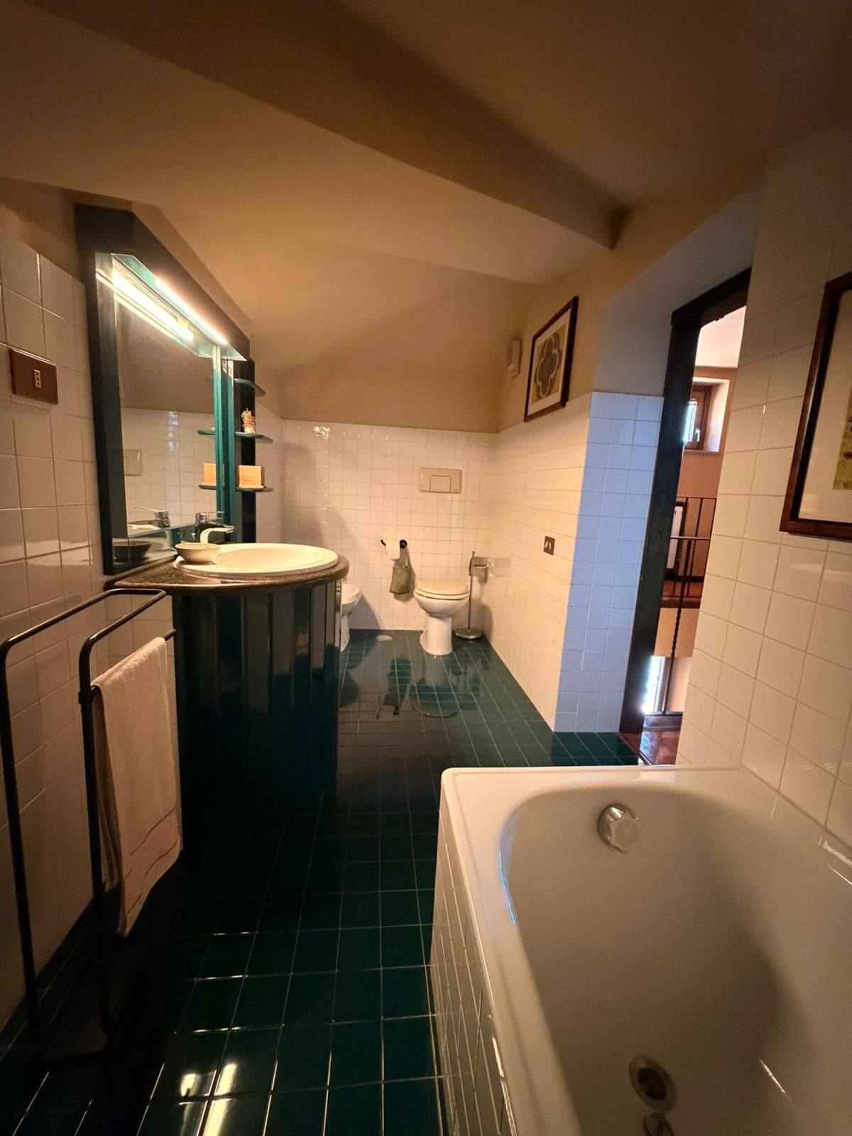 Asciugacapelli, bidet, asciugamani, sapone