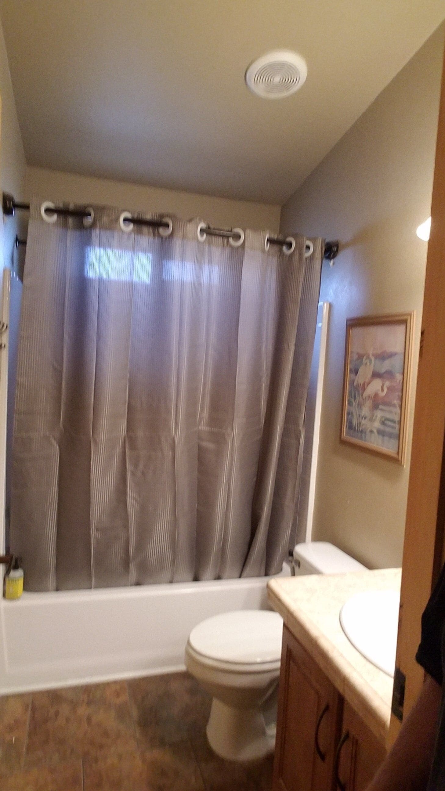A bathroom with a bathtub, toilet, and a shower curtain.
