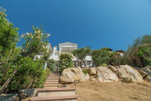 Eksteriør