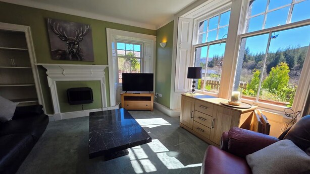 Una sala de estar con chimenea, televisor, mesa de centro, sofá y vistas a zonas verdes.