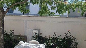 A garden with a tree, white plastic chairs, and a white building in the background. - 50 special apartment (Pontedera)