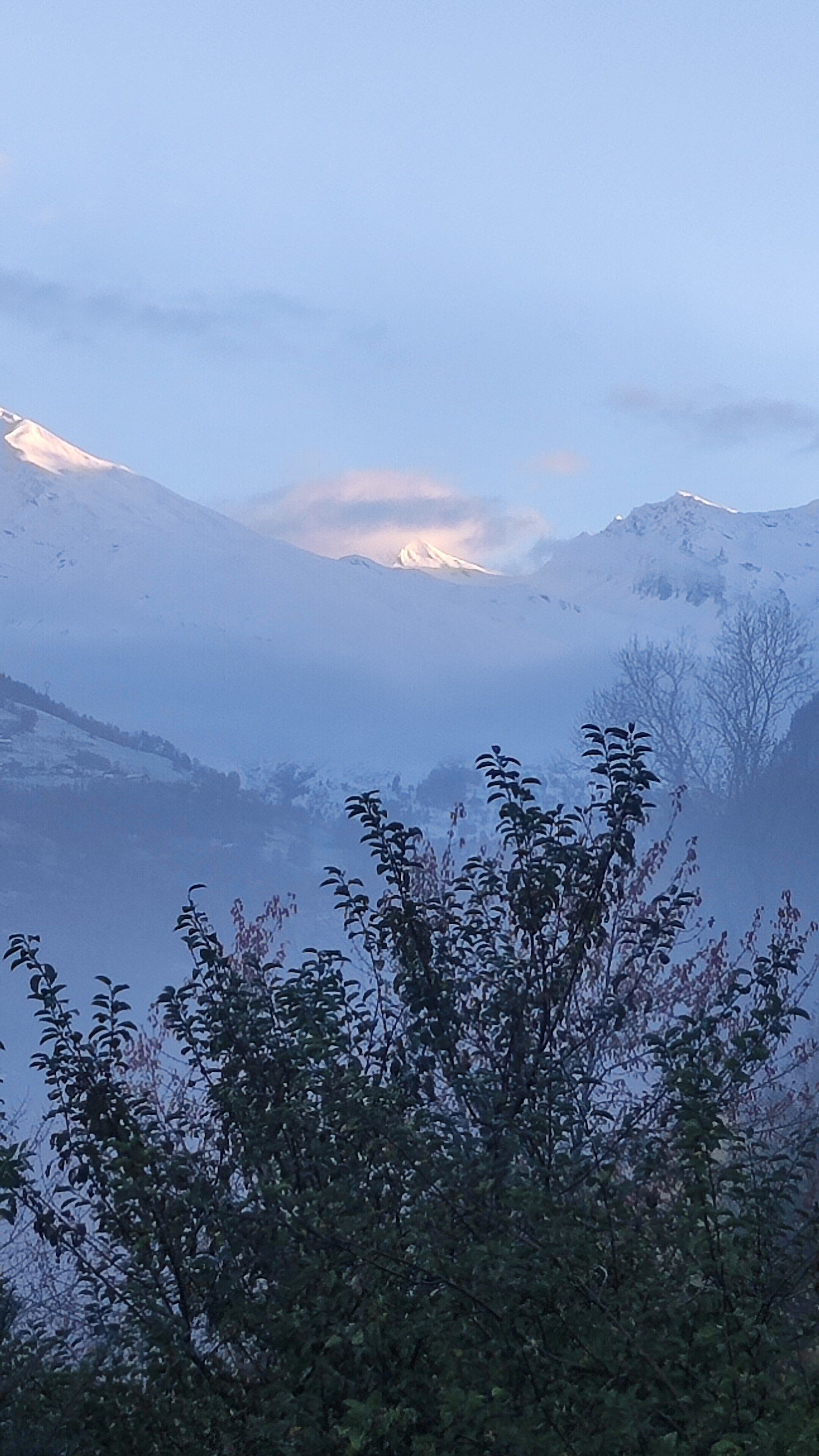Paisatge de muntanya amb cims nevats i una vall amb vegetació densa al primer pla.