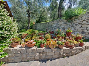 Un muro de piedra con plantas en macetas dispuestas a lo largo, rodeado de follaje y árboles.