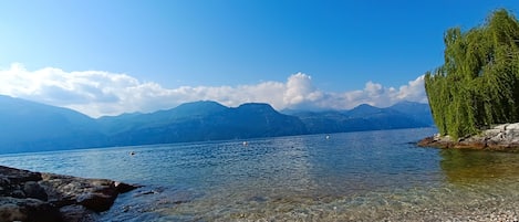 Playa