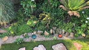 Um jardim com diversas plantas, pedras e um pequeno lago.