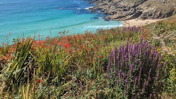 Paisagem costeira com uma praia rochosa, mar azul límpido e flores silvestres.