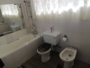 Un baño con bañera, inodoro, bidé y espejo.