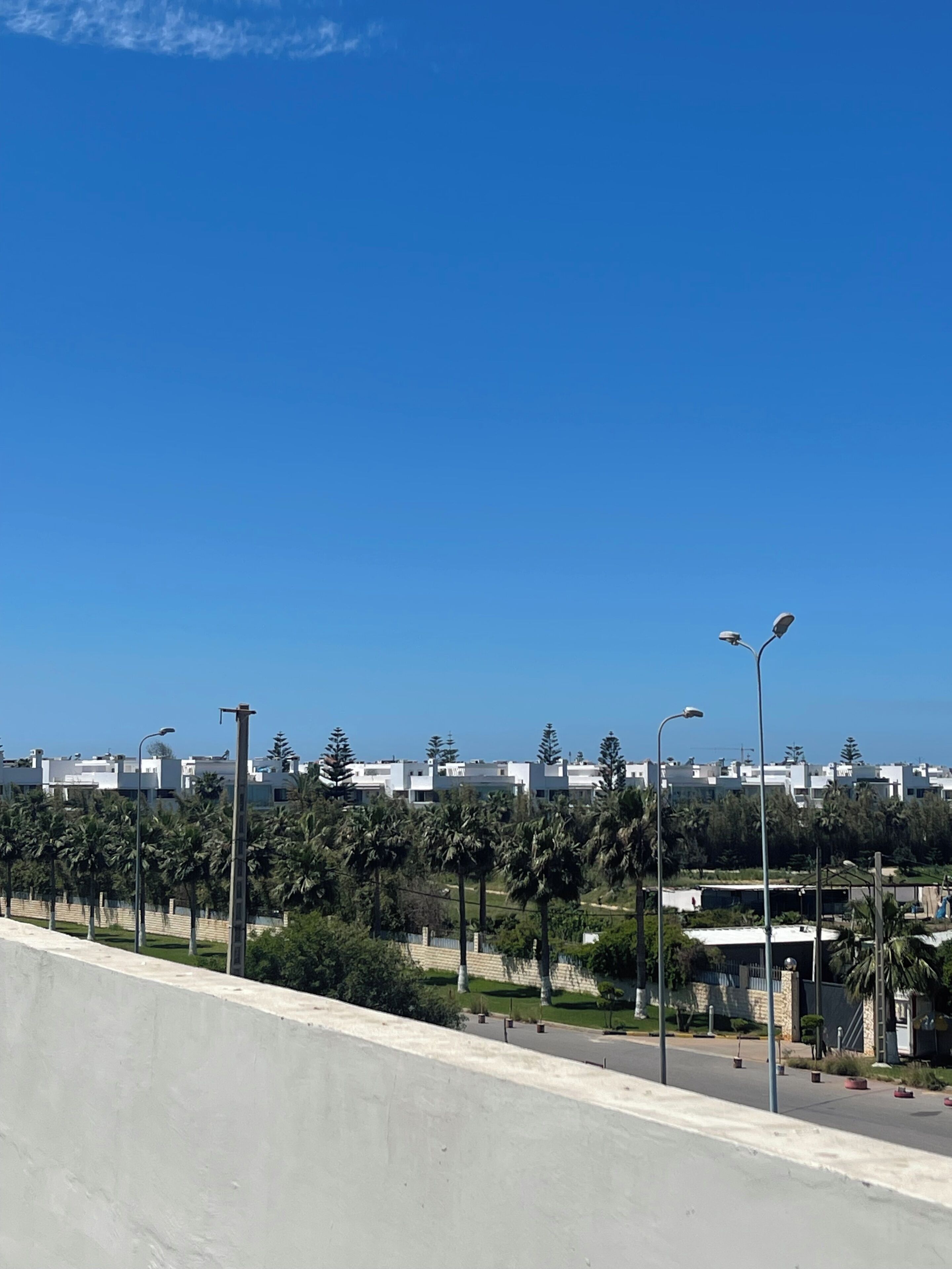 A coastal cityscape with modern buildings, palm trees, and a clear blue sky.