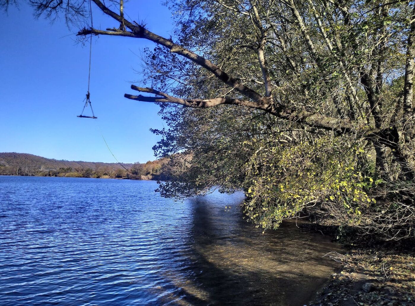 A clear view of a lake with a swing hanging from a tree branch.