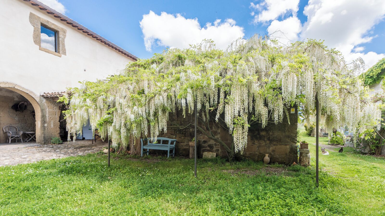 A stone wall with hanging white flowers, a bench, and a rustic building with an archway.