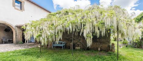 A stone wall with hanging white flowers, a bench, and a rustic building with an archway.