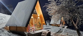 Charming 1-bedroom bungalow in soothing Mojkovac Municipality