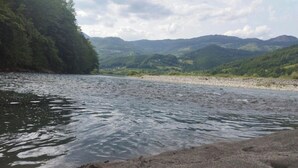 A river with a sandy bank and a forested hillside in the background.