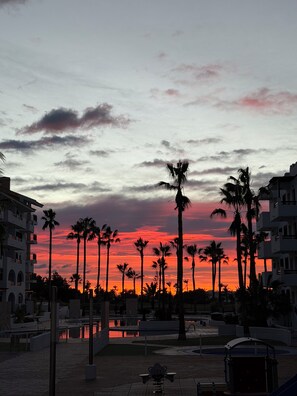 Vista del atardecer con palmeras y un edificio con balcones.