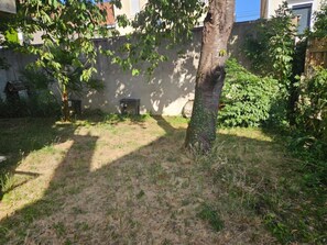 Un patio trasero con un árbol, una pared y algunas plantas.