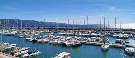 Marina