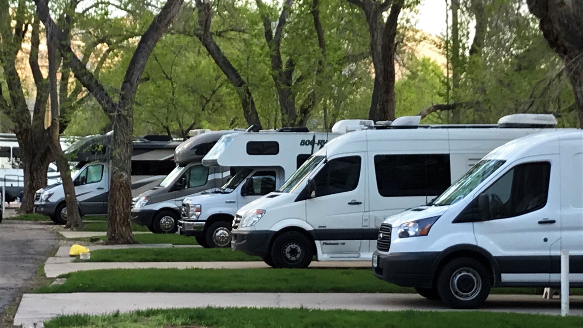 A row of RVs parked in a lot with trees in the background.
