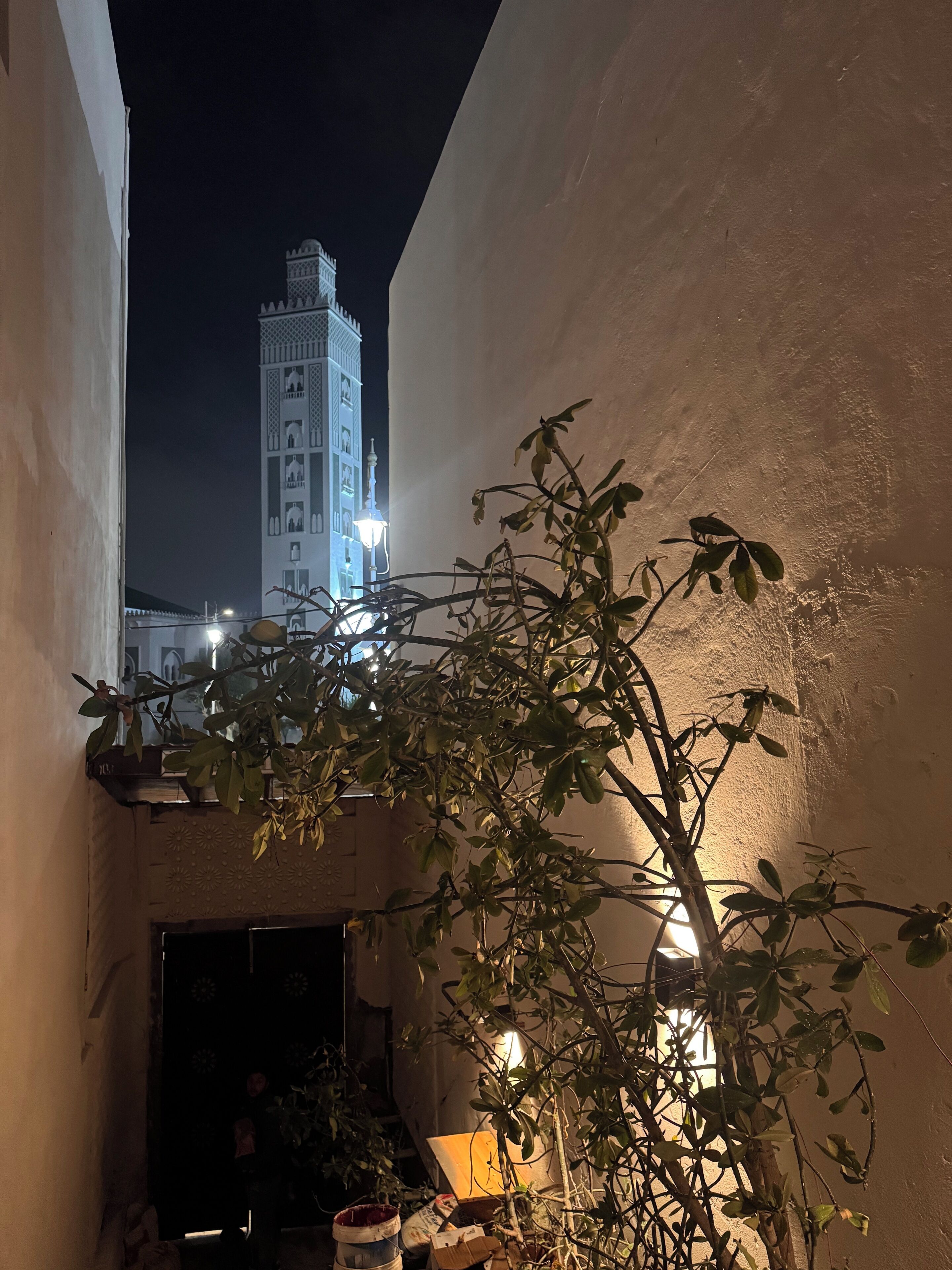 A narrow alleyway with a building featuring a minaret, surrounded by foliage and a door leading to an interior space.