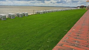 Une zone herbeuse avec un chemin pavé de briques, une étendue d’eau et une rangée de constructions fixes.