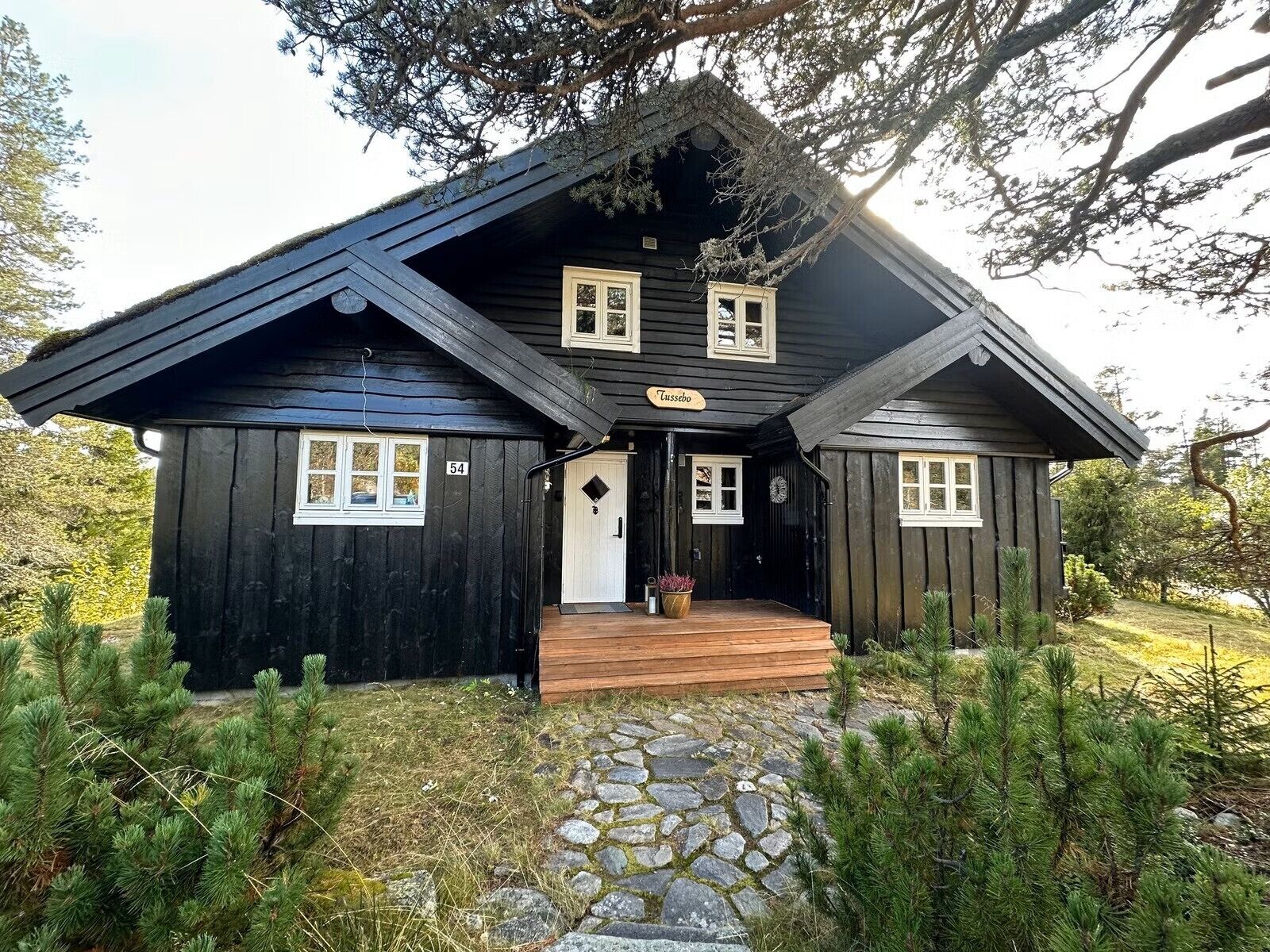 Exteriör