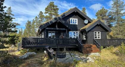 Cozy family cabin with sauna! Pets are allowed, up to 13 beds.