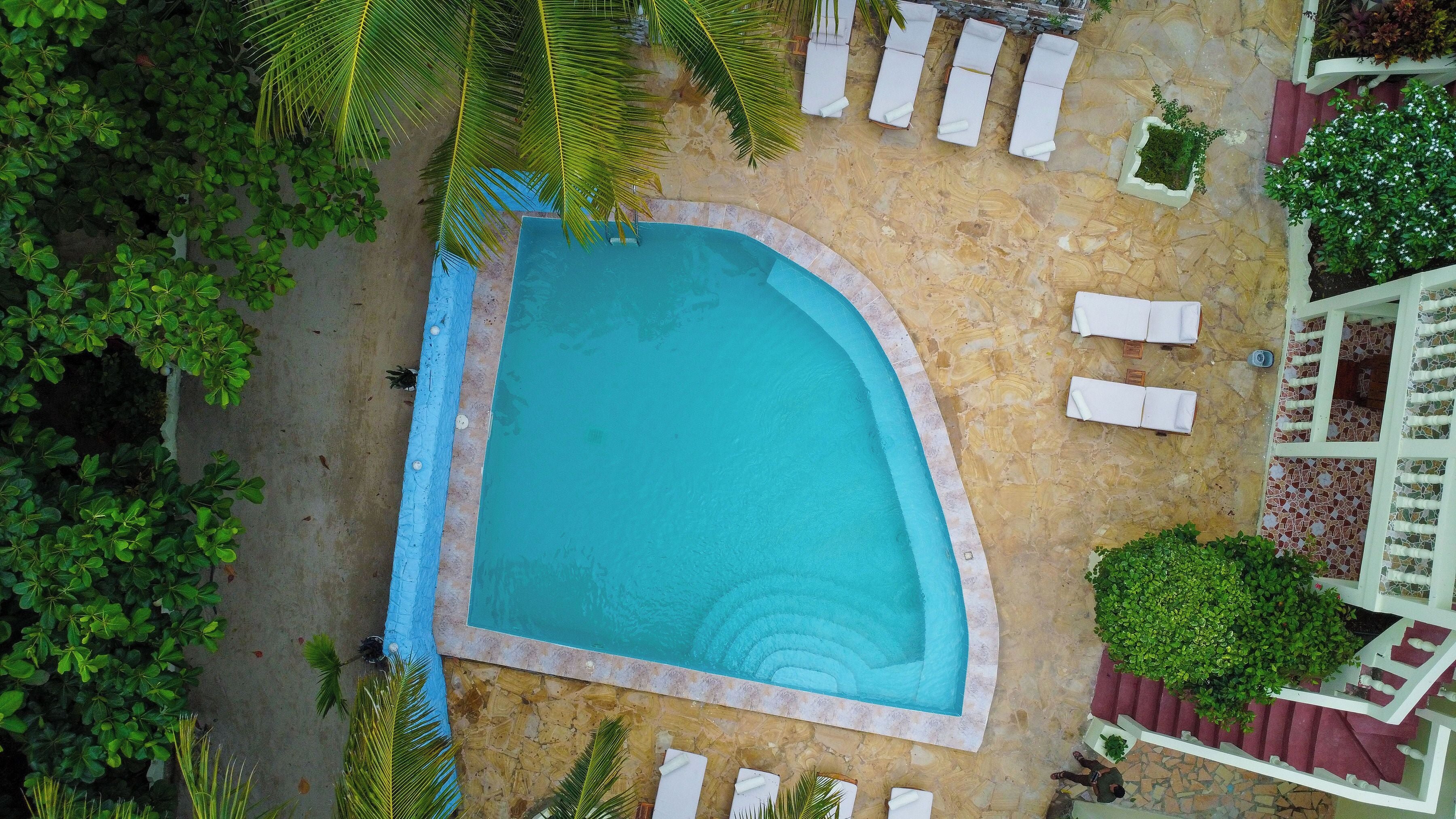 Vista aerea di una piscina a bordo curvo, circondata da lettini e piante in vaso.