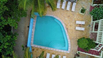 Vista aerea di una piscina a bordo curvo, circondata da lettini e piante in vaso.