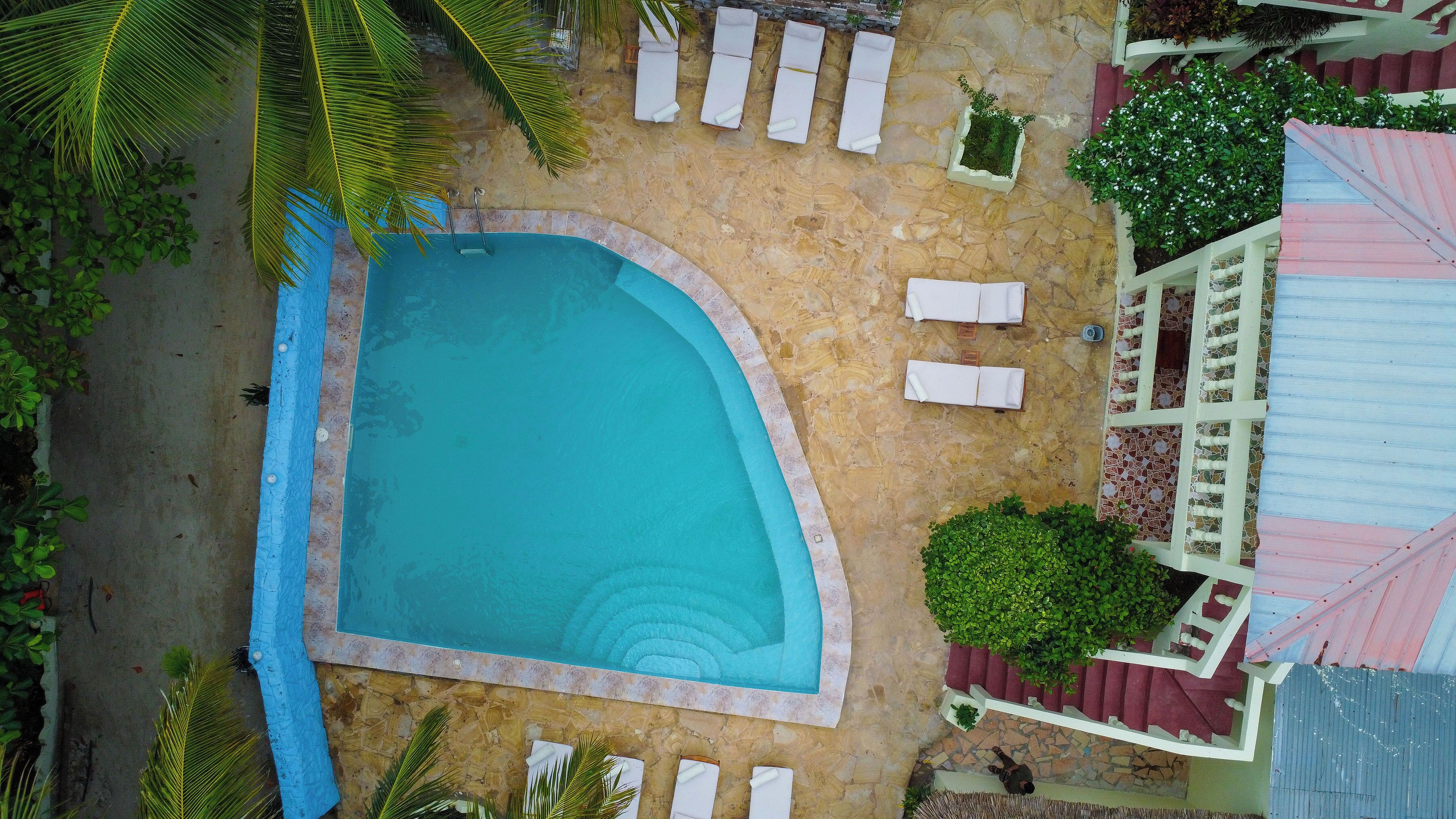 A swimming pool with lounge chairs, a stone pathway, and a small garden area.
