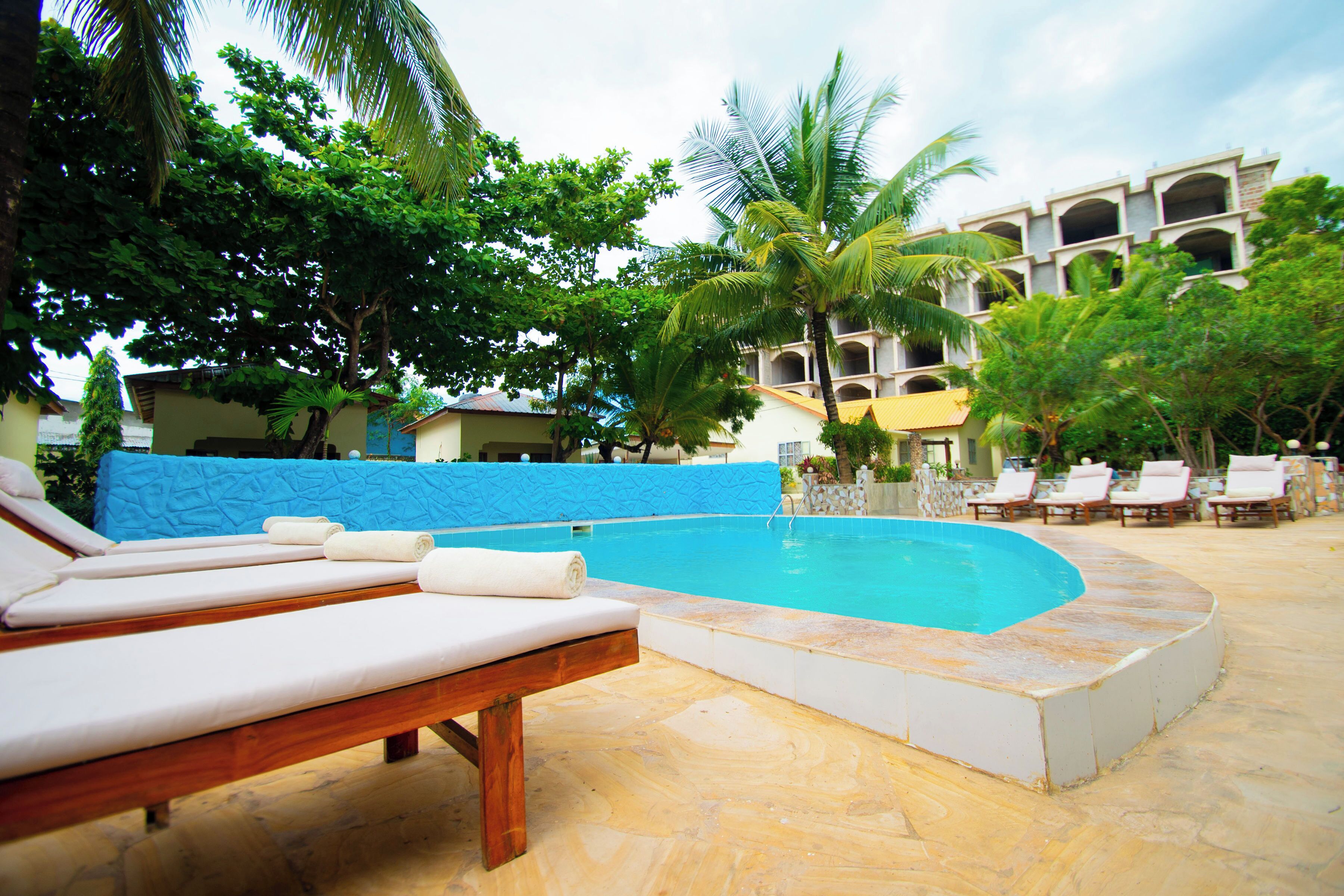 Zona de piscina con sillas de descanso y una palmera.