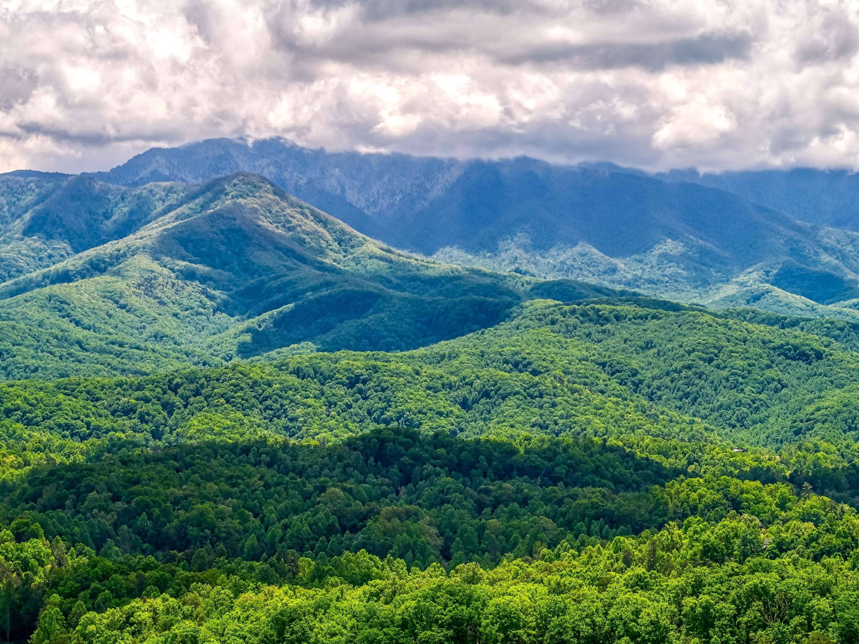 A mountainous landscape with dense forest coverage.