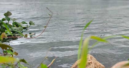 Cozy river Cauvery farmstay near Mysore. Cozy riverside views, yoga, and nature.